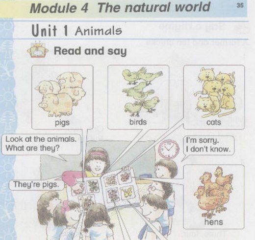 module4unit1 animals